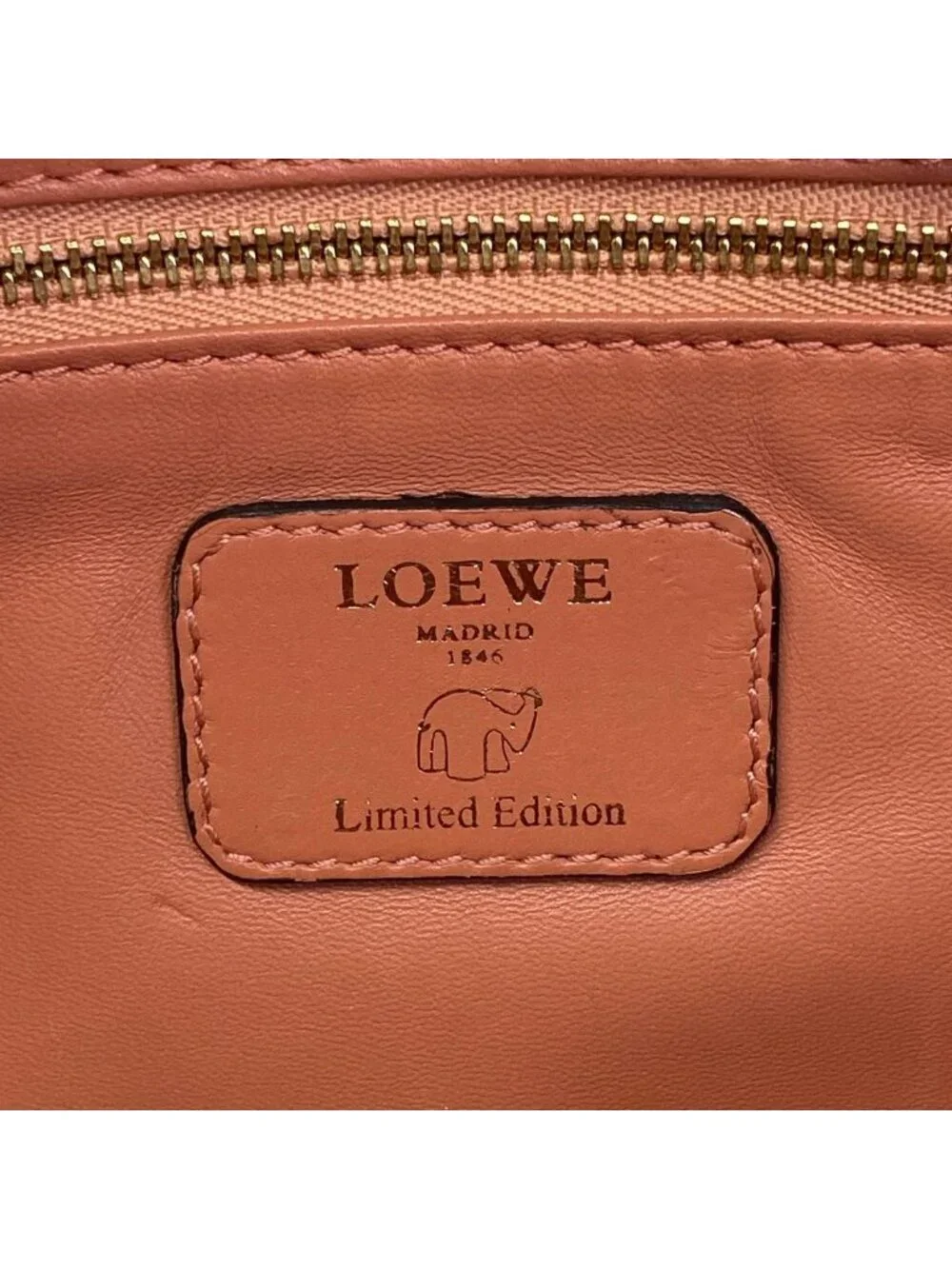 Loewe Handbag Amazona 28 Pink Leather